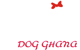 Dog Paws Ghana